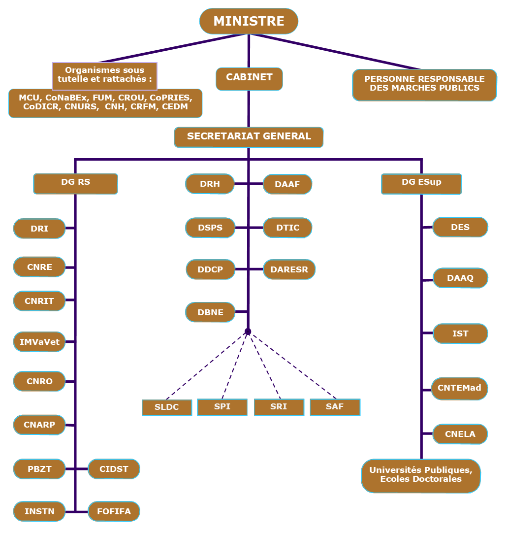 organigramme mesupres 2019